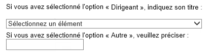 Saisie d’écran affichant une section où on demande d’indiquer le titre du dirigeant, si l’option « Dirigeant » a été sélectionnée.